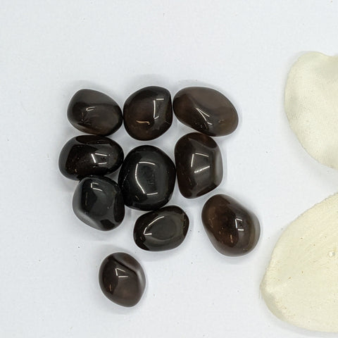 Apache Tears Tumbled Stone showcasing smooth, polished crystals in black to brown hues, known for their ability to relieve grief, promote emotional healing, and provide grounding.