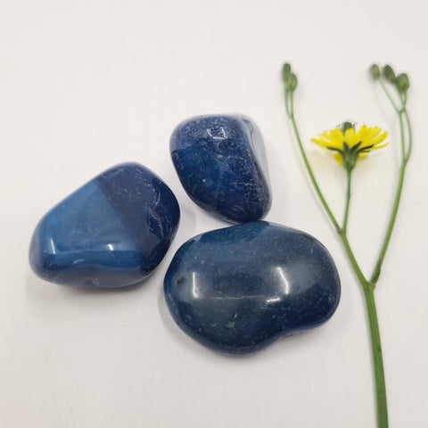 Blue Agate Tumbled Stones featuring smooth, polished crystals in deep blue tones with natural banding, known for their calming and healing properties, ideal for emotional balance and mental clarity.
