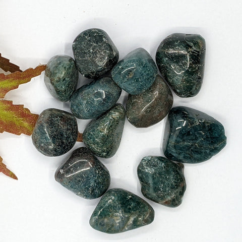 Blue Apatite Tumbled Stones featuring smooth, polished crystals in deep blue and green hues, known for their ability to enhance communication, intellectual clarity, and spiritual awareness.