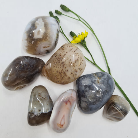 Botswana Agate Tumbled Stone showcasing smooth, polished crystals with banded patterns, known for their ability to promote emotional healing, protection, and stability.