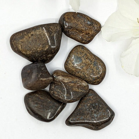 Bronzite Tumbled Stone showcasing smooth, polished crystals in golden brown hues, known for their ability to provide strength, protection, and emotional stability.