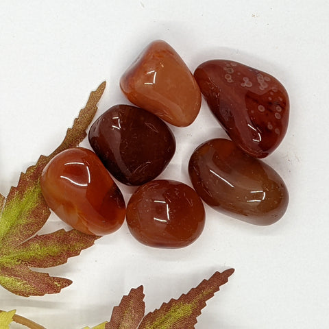 Carnelian Tumbled Stone showcasing smooth, polished crystals in vibrant orange hues, known for their ability to enhance creativity, confidence, and vitality.