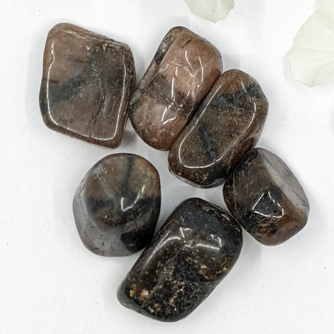 Chiastolite Tumbled Stone showcasing smooth, polished crystals with a cross-like inclusion, known for their ability to provide protection, transformation, and spiritual strength.