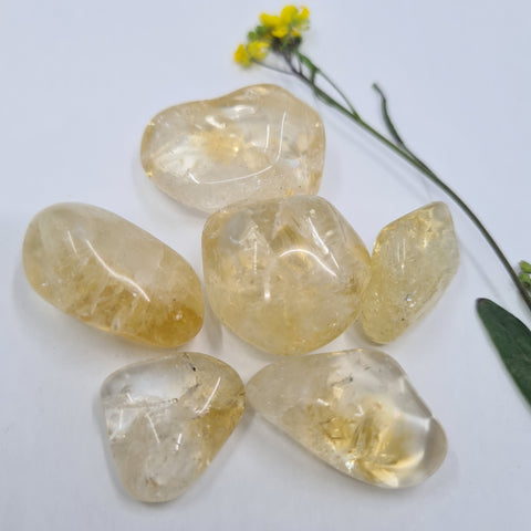 Citrine Tumbled Stone showcasing smooth, polished crystals in golden yellow hues, known for their ability to attract abundance, boost confidence, and promote personal power.