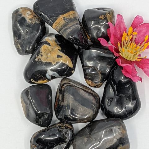 Falcon's Eye Tumbled Stone showcasing smooth, polished crystals in blue and brown hues, known for their ability to enhance clarity, intuition, and mental decision-making.