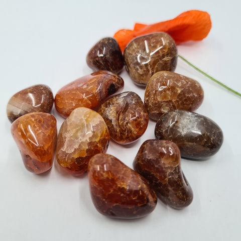Fire Agate Tumbled Stone showcasing smooth, polished crystals in fiery orange and red hues, known for their ability to provide protection, vitality, and emotional strength.