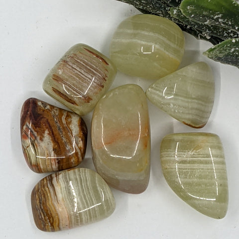 Green Onyx Tumbled Stone showcasing smooth, polished crystals in green hues, known for their ability to promote strength, healing, and emotional stability.