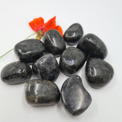 Larvikite Tumbled Stone showcasing smooth, polished crystals in black and gray hues, known for their ability to provide grounding, mental clarity, and spiritual growth.