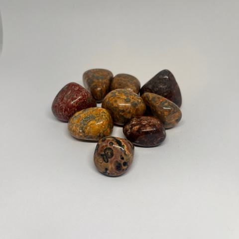 Leopard Skin Jasper Tumbled Stones with smooth, polished crystals showcasing earthy tones of red, brown, and yellow, known for their grounding properties and ability to bring stability, protection, and healing.
