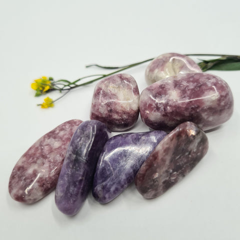 Lepidolite Tumbled Stone showcasing smooth, polished crystals in purple and pink hues, known for their ability to promote emotional healing, calm, and mental clarity.