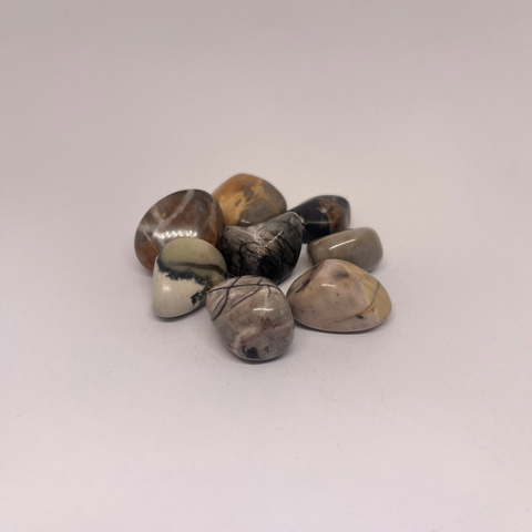 Picasso Jasper Tumbled Stones with earthy tones of beige, gray, and black, showcasing unique marbled patterns and dark veins that resemble abstract artwork, creating a striking visual effect.