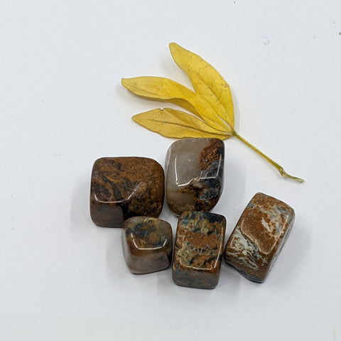Pietersite Tumbled Stone showcasing smooth, polished crystals with flashes of blue, gold, and brown, known for their ability to enhance transformation, clarity, and intuition.