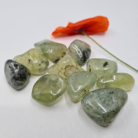 Prehnite Tumbled Stone showcasing smooth, polished crystals in light green hues, known for their ability to promote healing, spiritual growth, and inner peace.