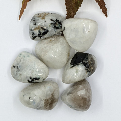 Rainbow Moonstone Tumbled Stone showcasing smooth, polished crystals with iridescent flashes, known for their ability to enhance intuition, promote new beginnings, and encourage spiritual growth.