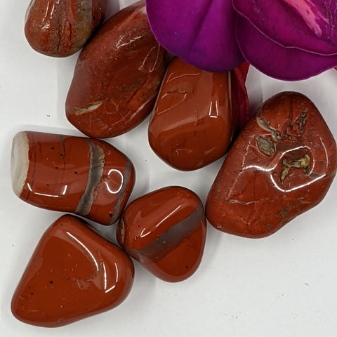 Red and White Jasper Tumbled Stones featuring smooth, polished crystals with vibrant red and contrasting white bands, known for their grounding and balancing energy, ideal for emotional healing.