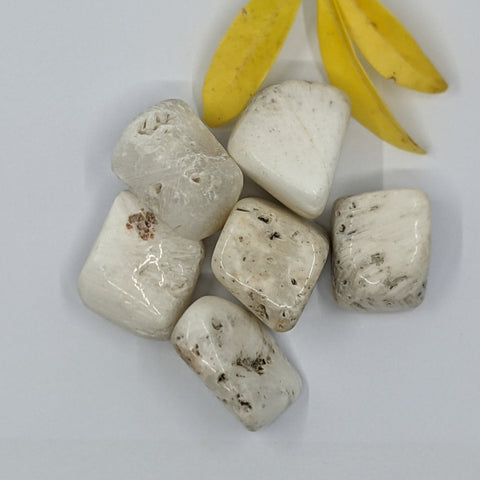 Scolecite Tumbled Stone showcasing smooth, polished crystals in white hues, known for their ability to promote peace, emotional healing, and spiritual connection.