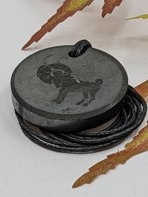 Shungite Aries zodiac sign pendant necklace on a white background, for grounding and protection.