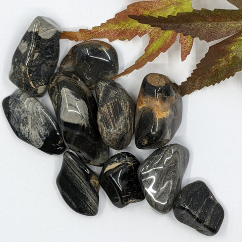 Silver Rainbow Jasper Tumbled Stones featuring smooth, polished crystals in shades of black, gray, and gold with natural veining, known for their grounding and protective properties.
