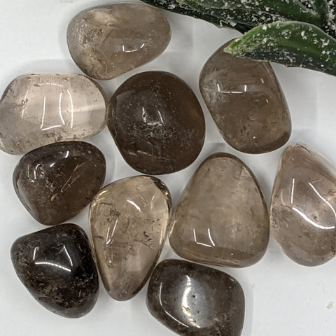 Smokey Quartz Tumbled Stone showcasing smooth, polished crystals in brown and black hues, known for their ability to ground, protect, and clear negative energy.