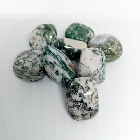 Tree Agate (Indian) Tumbled Stone showcasing smooth, polished crystals in green and white hues, known for their ability to promote healing, growth, and inner peace.