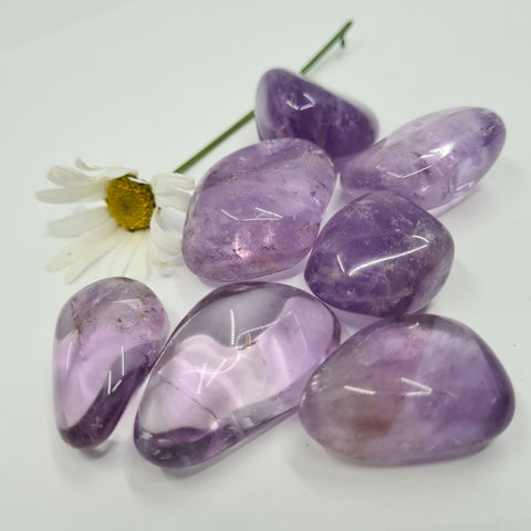 Amethyst Tumbled Stone showcasing smooth, polished crystals in purple hues, known for their ability to promote clarity, spiritual growth, and emotional balance.