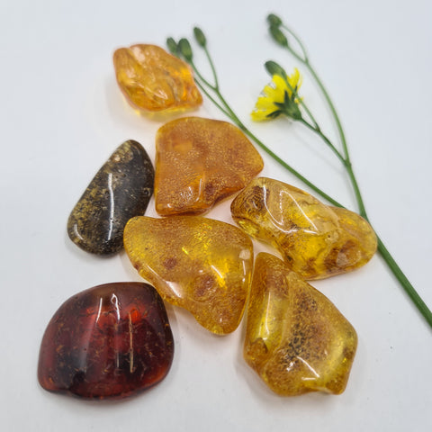 Amber Tumbled Stone showcasing smooth, polished crystals in golden hues, known for their ability to promote protection, vitality, and clear energy flow.