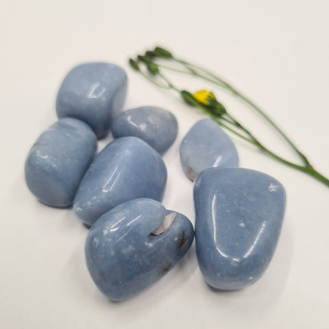 Angelite Tumbled Stone showcasing smooth, polished crystals in soft blue hues, known for their ability to promote peace, enhance communication with higher realms, and support emotional healing.