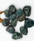 Blue Apatite Tumbled Stones featuring smooth, polished crystals in deep blue and green hues, known for their ability to enhance communication, intellectual clarity, and spiritual awareness.