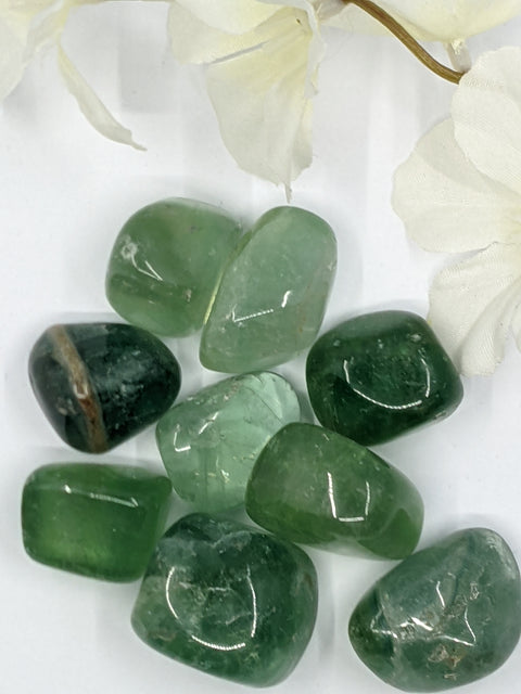 Green Fluorite Tumbled Stones displaying smooth, polished crystals in vibrant green hues, known for their purifying energy, emotional healing properties, and ability to enhance clarity and focus.