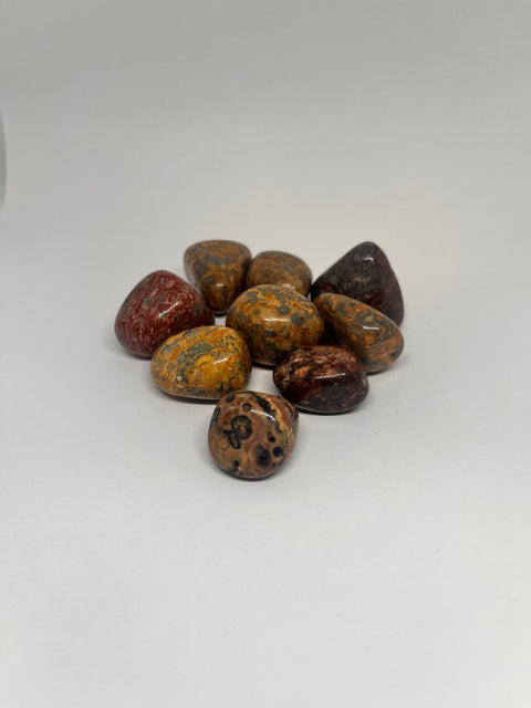 Leopard Skin Jasper Tumbled Stones with smooth, polished crystals showcasing earthy tones of red, brown, and yellow, known for their grounding properties and ability to bring stability, protection, and healing.