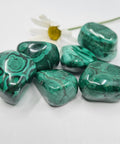 Malachite Tumbled Stones showcasing smooth, polished crystals in vibrant green with unique banding patterns, known for their transformative energy and ability to promote healing and emotional balance.