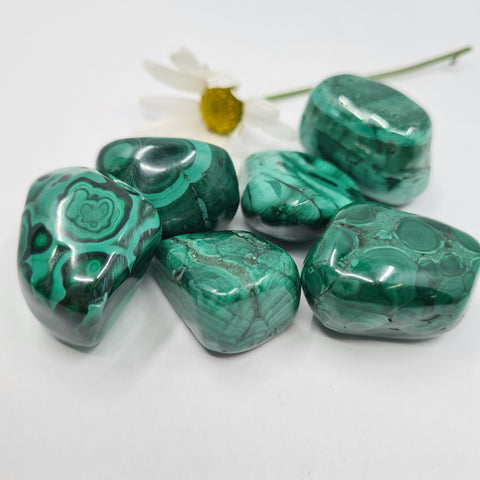 Malachite Tumbled Stones showcasing smooth, polished crystals in vibrant green with unique banding patterns, known for their transformative energy and ability to promote healing and emotional balance.