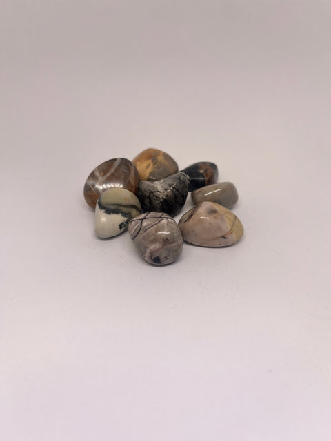 Picasso Jasper Tumbled Stones with earthy tones of beige, gray, and black, showcasing unique marbled patterns and dark veins that resemble abstract artwork, creating a striking visual effect.