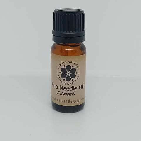 Pine Needle Essential Oil in Amber Glass Bottle by Always Natural