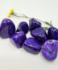 Purple Howlite Tumbled Stones showcasing smooth, polished crystals in vibrant purple hues with natural veining, known for their calming energy and ability to enhance spiritual awareness and emotional healing.