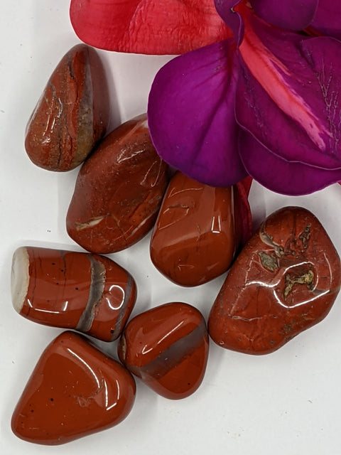 Red and White Jasper Tumbled Stones featuring smooth, polished crystals with vibrant red and contrasting white bands, known for their grounding and balancing energy, ideal for emotional healing.