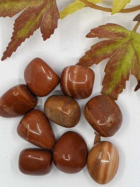 Red Zebra Jasper Tumbled Stones displaying smooth, polished crystals in vibrant red and earthy brown with natural banding, known for their grounding energy and ability to promote balance and stability.