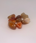 Red River Chalcedony Tumbled Stones with smooth, glossy surfaces featuring warm tones of red, orange, and cream, known for promoting emotional healing, balance, and fostering a sense of calm and stability.