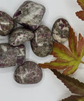 Ruby in Rhyolite Tumbled Stones displaying a mix of rich purple and earthy tones with a smooth, polished finish, known for their energy-enhancing properties and emotional healing abilities.