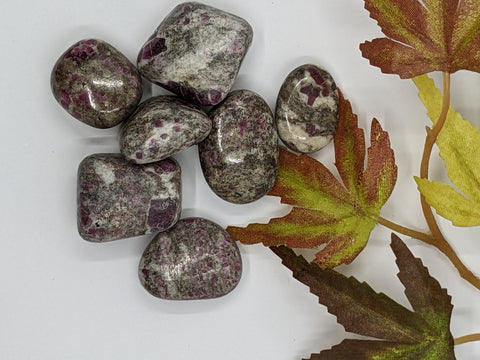 Ruby in Rhyolite Tumbled Stones displaying a mix of rich purple and earthy tones with a smooth, polished finish, known for their energy-enhancing properties and emotional healing abilities.