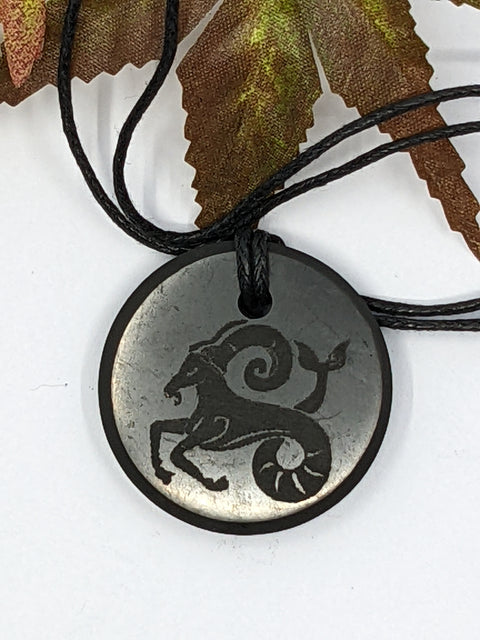 Shungite Capricorn zodiac sign pendant necklace on a white background, for grounding and resilience.