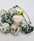 Tree Jasper Tumbled Stones featuring smooth, polished crystals in earthy green and white tones, known for their grounding energy and ability to promote stability, healing, and connection to nature.