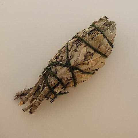 4-inch White Sage Smudge Stick on a white background, ideal for energy cleansing and small spaces.