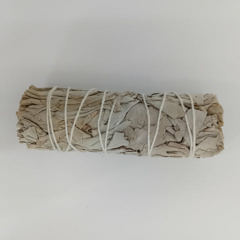 6-inch White Sage Smudge Stick on a white background, perfect for medium-sized spaces and holistic rituals.