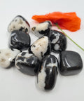 Zebra Jasper Tumbled Stones displaying smooth, polished crystals with bold black and white banding, known for their grounding and balancing energy, ideal for enhancing focus and emotional stability.