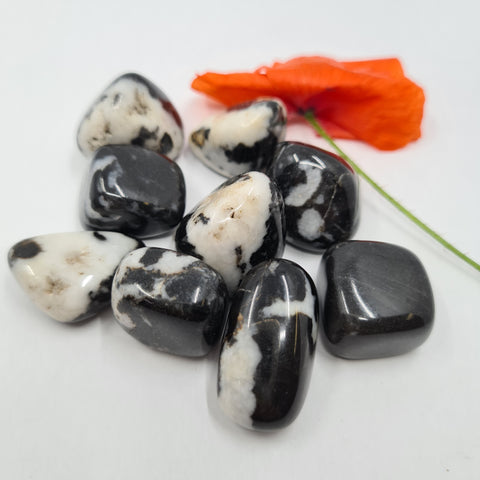 Zebra Jasper Tumbled Stones displaying smooth, polished crystals with bold black and white banding, known for their grounding and balancing energy, ideal for enhancing focus and emotional stability.