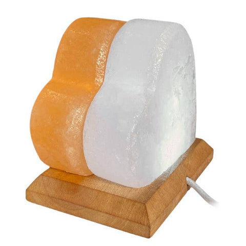 Heart Shaped Himalayan Salt Lamp