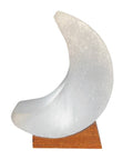 USB Himalayan salt crescent moon lamp on wooden base