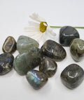 Labradorite tumbled stone showing iridescent blue flash on white background — healing crystals Ireland, Fragrant Heaven