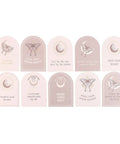Luna Moth Affirmation Cards full set featuring moon and moth designs with positive quotes for daily inspiration.